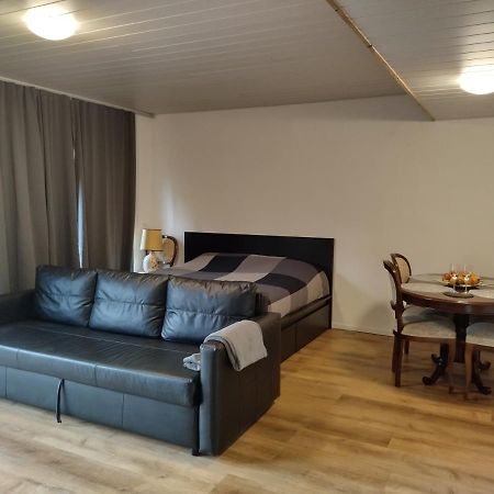 Spacieux Studio 38M2 Les Paccots Dış mekan fotoğraf
