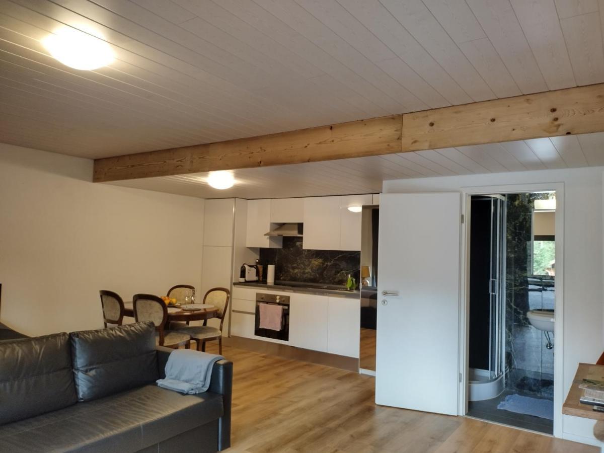 Spacieux Studio 38M2 Les Paccots Dış mekan fotoğraf